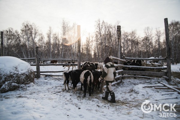 Колыбель омского "ТикТока". Как журналист "Омск Здесь" с Лёхой из деревни на берёзу лазил Колыбель омского "ТикТока". Как журналист "Омск Здесь" с Лёхой из деревни на берёзу лазил