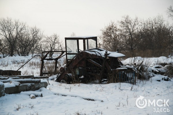 Колыбель омского "ТикТока". Как журналист "Омск Здесь" с Лёхой из деревни на берёзу лазил Колыбель омского "ТикТока". Как журналист "Омск Здесь" с Лёхой из деревни на берёзу лазил