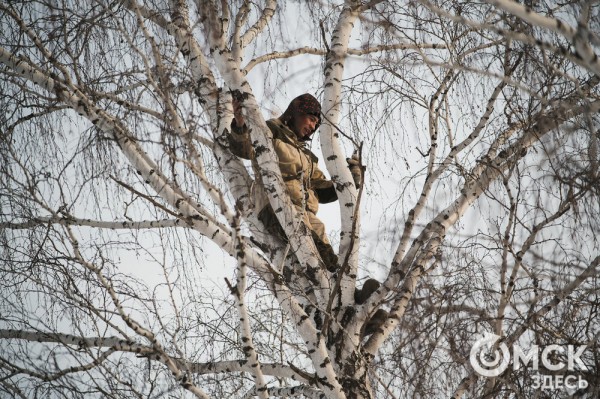 Колыбель омского "ТикТока". Как журналист "Омск Здесь" с Лёхой из деревни на берёзу лазил Колыбель омского "ТикТока". Как журналист "Омск Здесь" с Лёхой из деревни на берёзу лазил