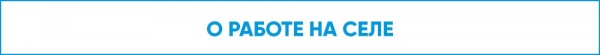 Gesundheit! Как работает программа "Земский учитель" в Омской области