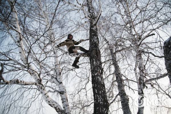 Колыбель омского "ТикТока". Как журналист "Омск Здесь" с Лёхой из деревни на берёзу лазил Колыбель омского "ТикТока". Как журналист "Омск Здесь" с Лёхой из деревни на берёзу лазил