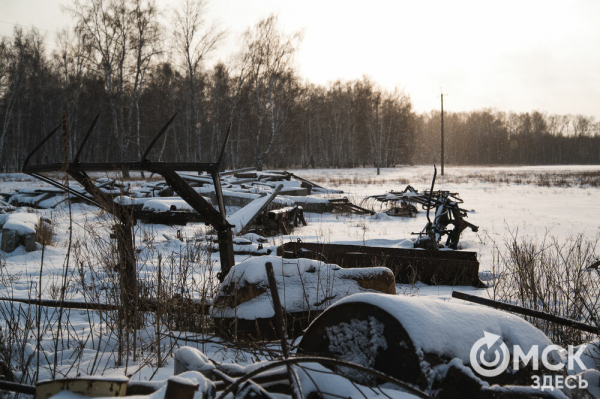 Колыбель омского "ТикТока". Как журналист "Омск Здесь" с Лёхой из деревни на берёзу лазил Колыбель омского "ТикТока". Как журналист "Омск Здесь" с Лёхой из деревни на берёзу лазил