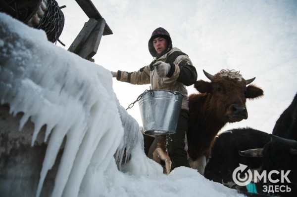 Колыбель омского "ТикТока". Как журналист "Омск Здесь" с Лёхой из деревни на берёзу лазил Колыбель омского "ТикТока". Как журналист "Омск Здесь" с Лёхой из деревни на берёзу лазил