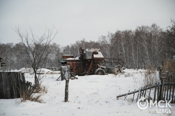 Колыбель омского "ТикТока". Как журналист "Омск Здесь" с Лёхой из деревни на берёзу лазил Колыбель омского "ТикТока". Как журналист "Омск Здесь" с Лёхой из деревни на берёзу лазил