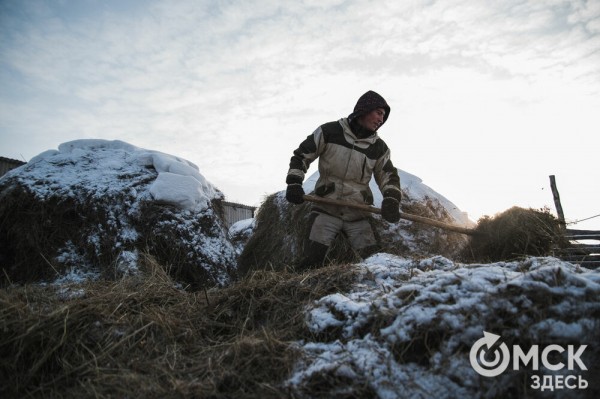Колыбель омского "ТикТока". Как журналист "Омск Здесь" с Лёхой из деревни на берёзу лазил Колыбель омского "ТикТока". Как журналист "Омск Здесь" с Лёхой из деревни на берёзу лазил