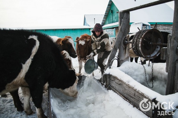 Колыбель омского "ТикТока". Как журналист "Омск Здесь" с Лёхой из деревни на берёзу лазил Колыбель омского "ТикТока". Как журналист "Омск Здесь" с Лёхой из деревни на берёзу лазил