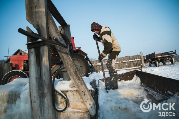 Колыбель омского "ТикТока". Как журналист "Омск Здесь" с Лёхой из деревни на берёзу лазил Колыбель омского "ТикТока". Как журналист "Омск Здесь" с Лёхой из деревни на берёзу лазил
