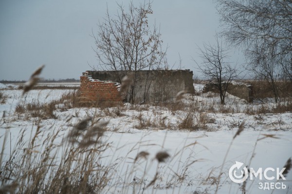 Колыбель омского "ТикТока". Как журналист "Омск Здесь" с Лёхой из деревни на берёзу лазил Колыбель омского "ТикТока". Как журналист "Омск Здесь" с Лёхой из деревни на берёзу лазил