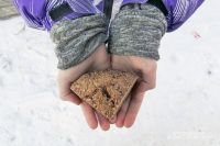 «Выносили на руках и отправляли в госпиталь». Кто спас ленинградских детей