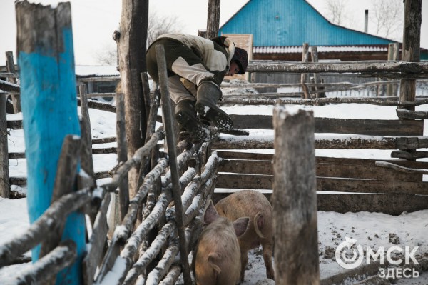 Колыбель омского "ТикТока". Как журналист "Омск Здесь" с Лёхой из деревни на берёзу лазил Колыбель омского "ТикТока". Как журналист "Омск Здесь" с Лёхой из деревни на берёзу лазил
