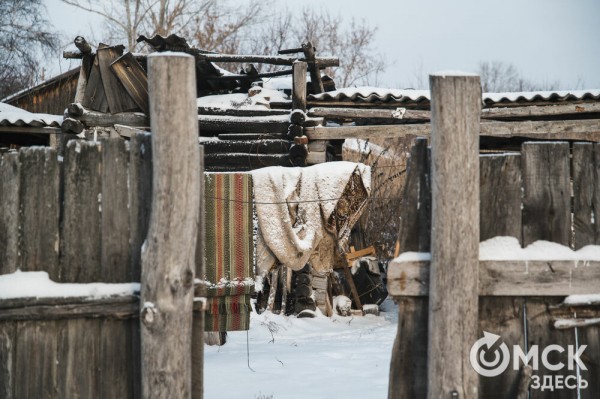 Колыбель омского "ТикТока". Как журналист "Омск Здесь" с Лёхой из деревни на берёзу лазил Колыбель омского "ТикТока". Как журналист "Омск Здесь" с Лёхой из деревни на берёзу лазил