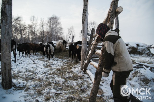 Колыбель омского "ТикТока". Как журналист "Омск Здесь" с Лёхой из деревни на берёзу лазил Колыбель омского "ТикТока". Как журналист "Омск Здесь" с Лёхой из деревни на берёзу лазил