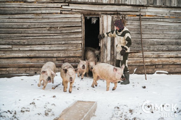Колыбель омского "ТикТока". Как журналист "Омск Здесь" с Лёхой из деревни на берёзу лазил Колыбель омского "ТикТока". Как журналист "Омск Здесь" с Лёхой из деревни на берёзу лазил