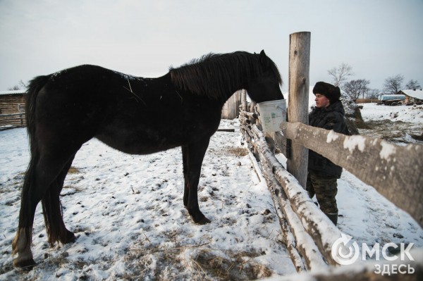 Колыбель омского "ТикТока". Как журналист "Омск Здесь" с Лёхой из деревни на берёзу лазил Колыбель омского "ТикТока". Как журналист "Омск Здесь" с Лёхой из деревни на берёзу лазил