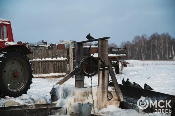 Колыбель омского "ТикТока". Как журналист "Омск Здесь" с Лёхой из деревни на берёзу лазил Колыбель омского "ТикТока". Как журналист "Омск Здесь" с Лёхой из деревни на берёзу лазил