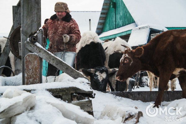 Колыбель омского "ТикТока". Как журналист "Омск Здесь" с Лёхой из деревни на берёзу лазил Колыбель омского "ТикТока". Как журналист "Омск Здесь" с Лёхой из деревни на берёзу лазил