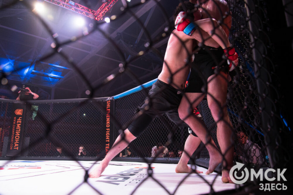 5:0. Команда Александра Шлеменко разгромно выиграла домашний турнир по ММА