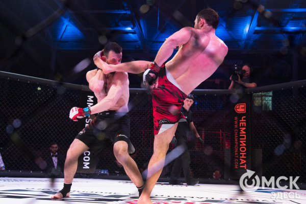5:0. Команда Александра Шлеменко разгромно выиграла домашний турнир по ММА