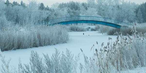 Опять -25. В Омске ждут холодную неделю