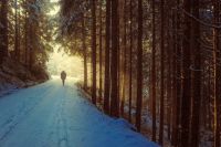 Синоптики прогнозируют сильнейший ветер, гололёд и метель в Омской области