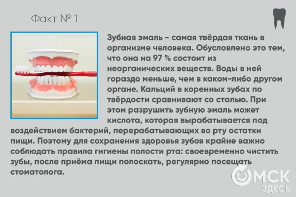 День стоматолога: топ-10 интересных фактов о зубах