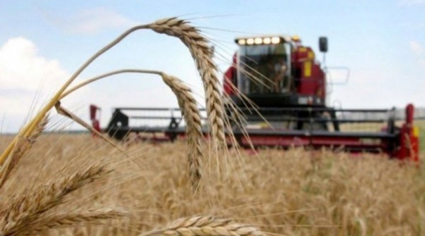 Минсельхоз назвал лучших омских аграриев уборочной-2017