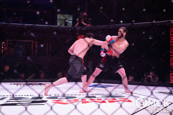 5:0. Команда Александра Шлеменко разгромно выиграла домашний турнир по ММА