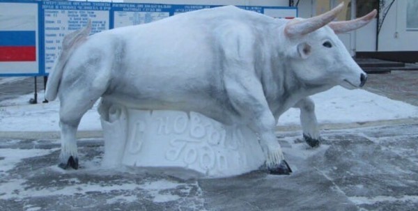 Омские колонии захватили князья и быки
