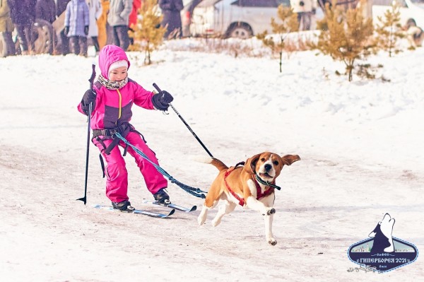 Наперегонки с гавкающими друзьями: в Омске прошла необычная гонка