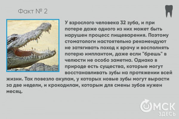 День стоматолога: топ-10 интересных фактов о зубах
