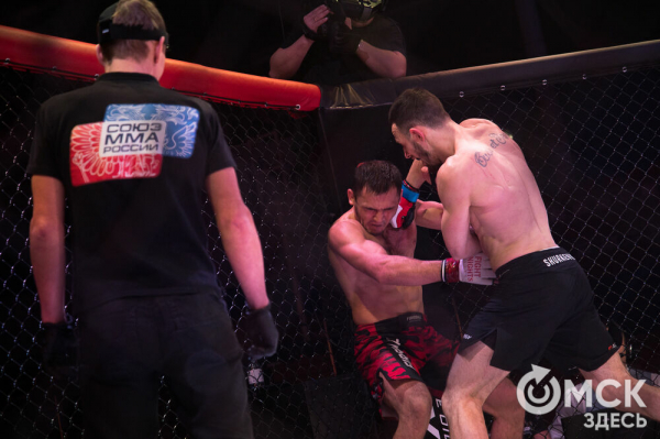 5:0. Команда Александра Шлеменко разгромно выиграла домашний турнир по ММА