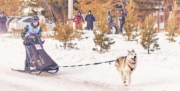 Наперегонки с гавкающими друзьями: в Омске прошла необычная гонка