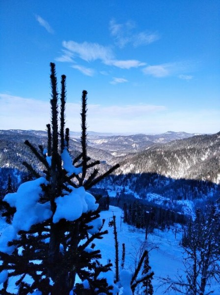 Анна Статва: "Покинуть Омск - это не про меня"