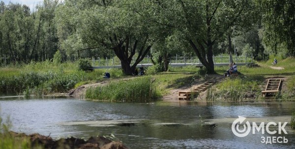 Восемь омских парков и скверов благоустроят к осени