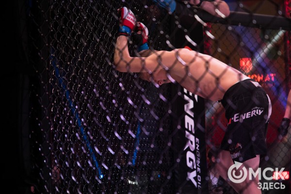 5:0. Команда Александра Шлеменко разгромно выиграла домашний турнир по ММА