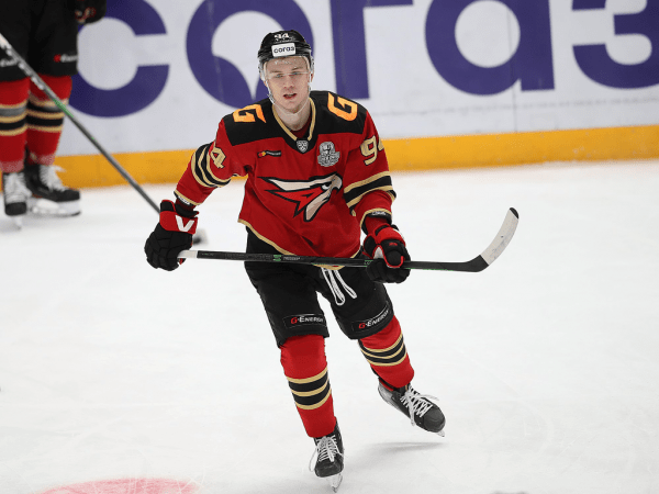 
        Прошли первый раунд плей-офф! «Авангард» победил «Автомобилист» в пятом матче серии
      