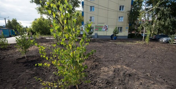 В Омске планируются массовые посадки