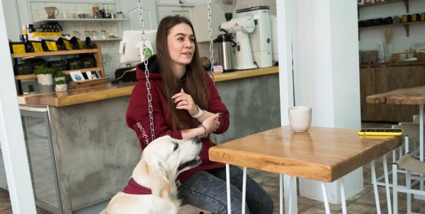 Заявляют "дог-френдли", а продвигают "дог-расизм". Куда податься омским собачникам