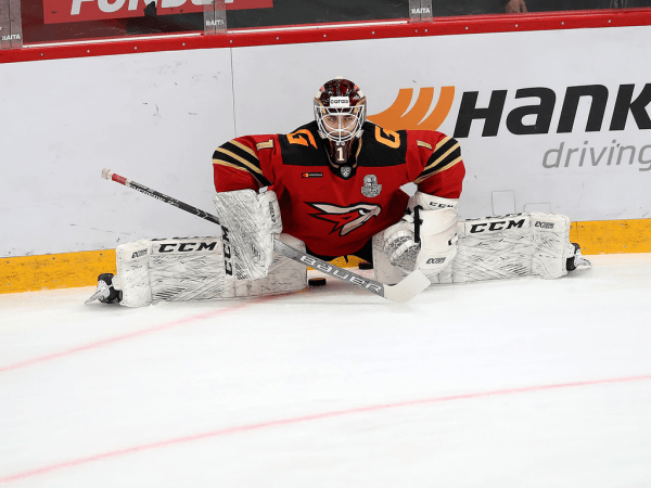 
        &laquo;Характер и спецбригады решили исход серии&raquo;. Хартли, Секач и Готовец после 5 матча 1/4 финала (ВИДЕО)
      