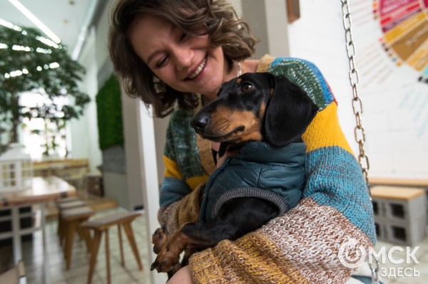 Заявляют "дог-френдли", а продвигают "дог-расизм". Куда податься омским собачникам