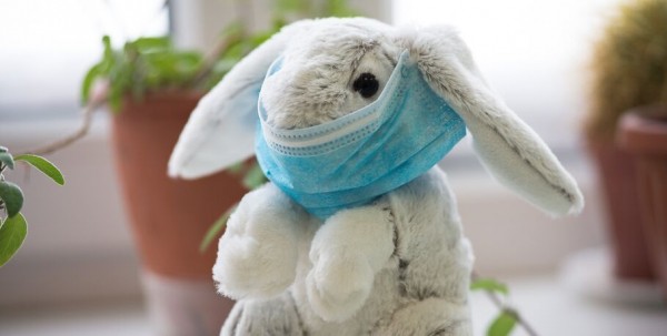 Как весной уберечь себя от сезонных заболеваний