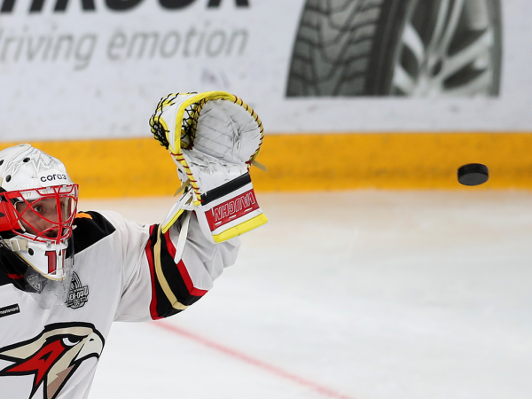 «Очень хорошо играли по системе, бились, блокировали броски». Комаров и Хартли после победы в третьем матче серии с «Металлургом»
«Очень хорошо играли по системе, бились, блокировали броски». Комаров и Хартли после победы в третьем матче серии с «Металлургом»