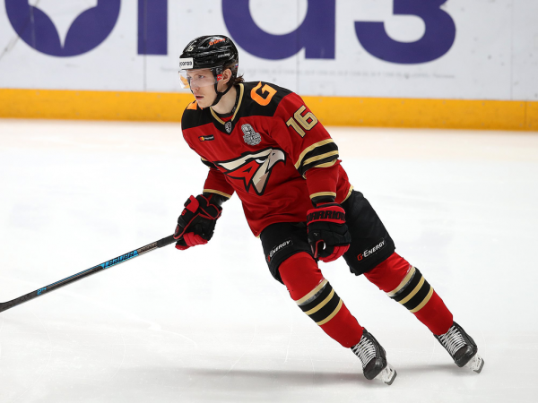 Толчинский приносит победу в овертайме! «Авангард» сравнял счёт в серии с «Магниткой»
Толчинский приносит победу в овертайме! «Авангард» сравнял счёт в серии с «Магниткой»