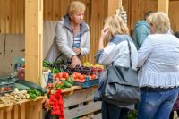 В Омске появится 20 ярмарок для садоводов и фермеров