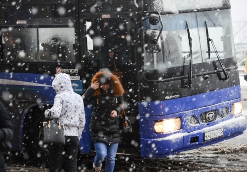 Более 33 миллионов рублей отсудил омский перевозчик у РЭК