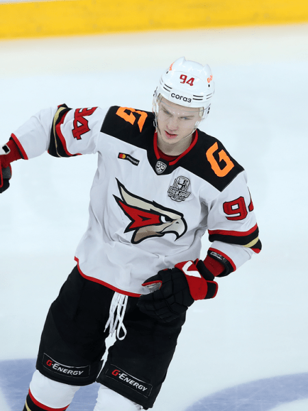 
        Ковальчук решает во втором овертайме! «Авангард» победил «Автомобилист» в четвёртом матче серии
      