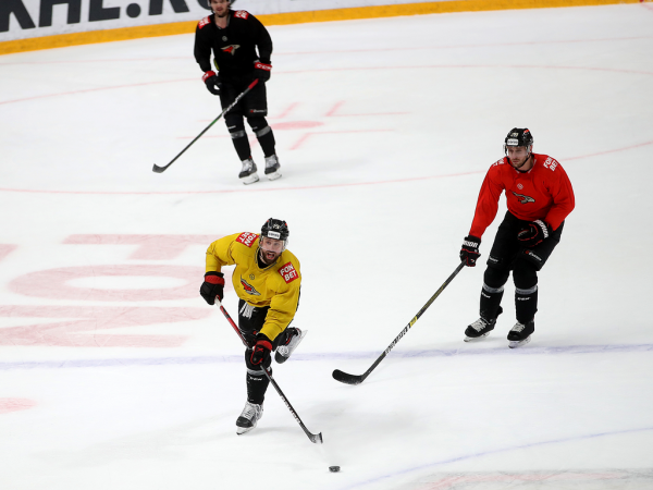 
        «Каждый матч будет крайне увлекательным». Комментарии перед серией с «Металлургом» (ВИДЕО+ФОТО)
      