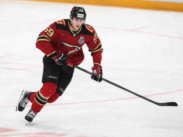 «После таких овертаймов на два года стареешь». Хартли, Шарипзянов и Толчинский после 2 матча 1/2 финала (ВИДЕО)
«После таких овертаймов на два года стареешь». Хартли, Шарипзянов и Толчинский после 2 матча 1/2 финала (ВИДЕО)