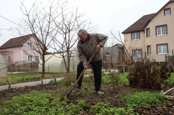 В Омске появится 20 ярмарок для садоводов и фермеров