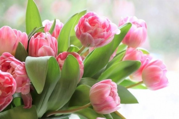 К 8 марта глава Омской области Александр Бурков прочитал стихи К 8 марта глава Омской области Александр Бурков прочитал стихи